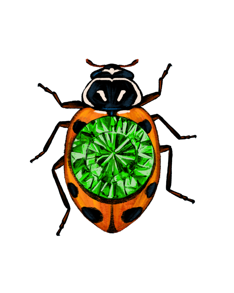 Convergent ladybug