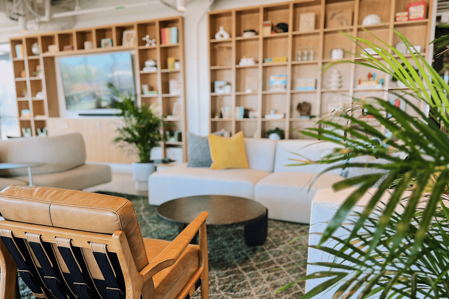 Day Pass | Game Room